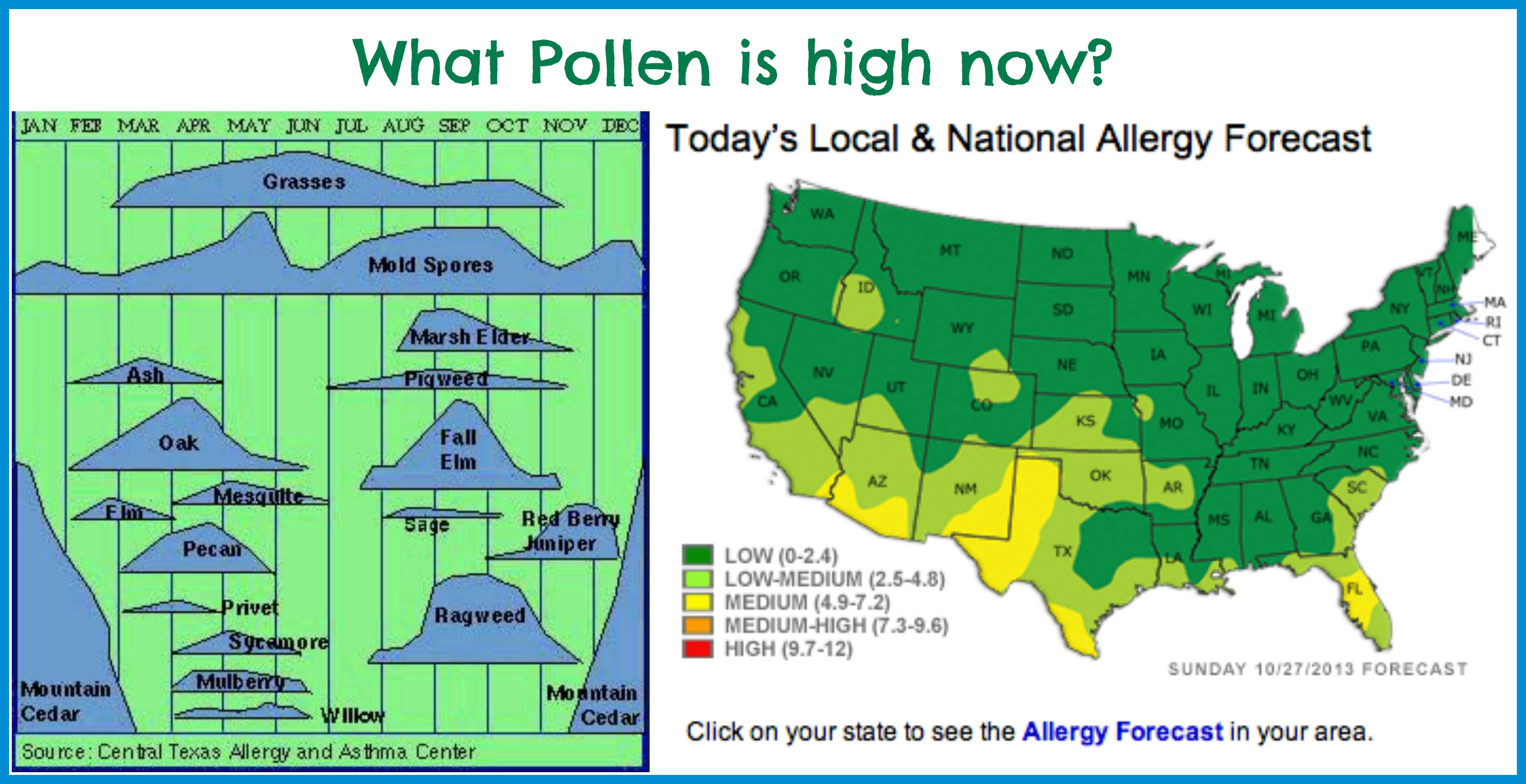 do-your-allergies-cross-react